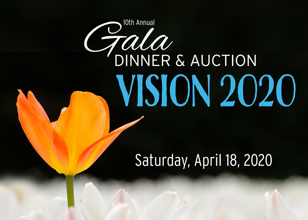 b2ap3 large 2020 ILB Gala FB art