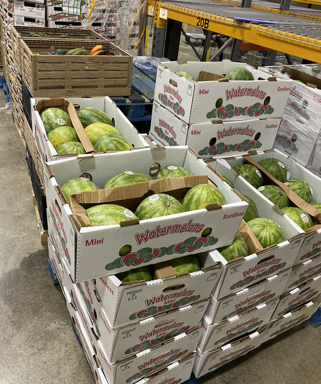 b2ap3 large Nutrition2