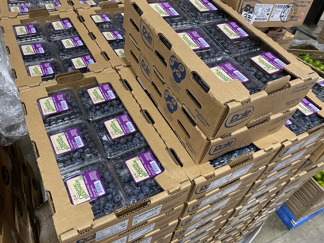 b2ap3 large Nutrition3