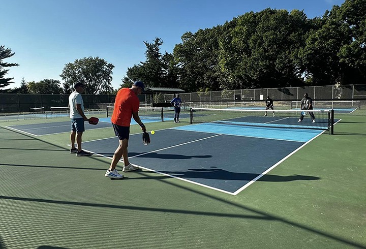 b2ap3 large Pickleball