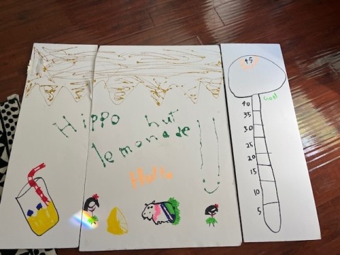 b2ap3 thumbnail image004 20240809 140055 1