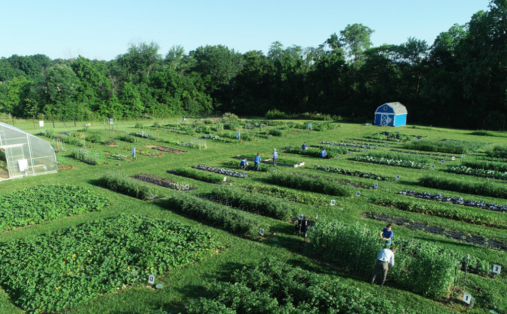 corteva_agriscience
